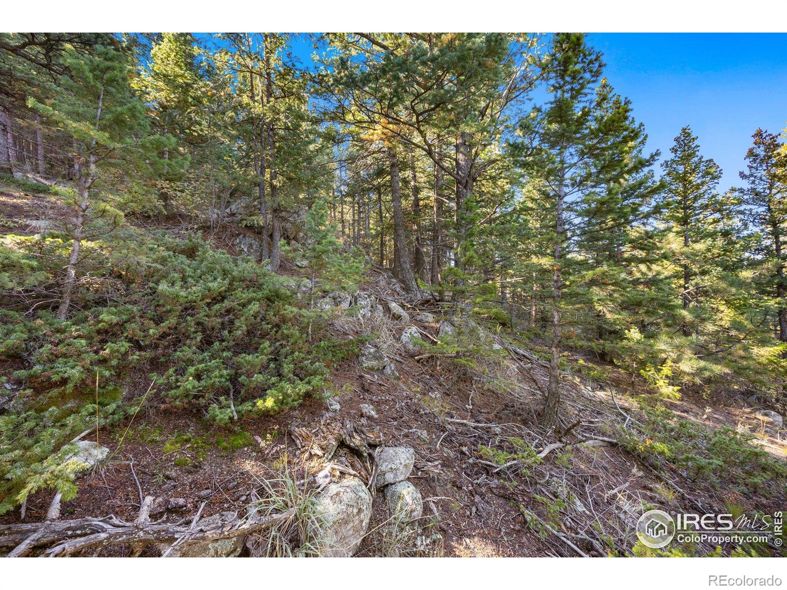 323 Roxbury Drive Boulder CO 80302