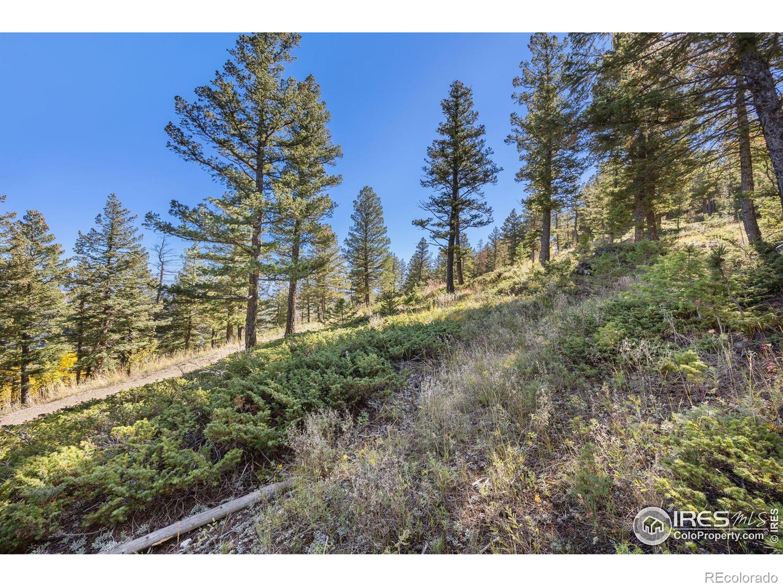 323 Roxbury Drive Boulder CO 80302