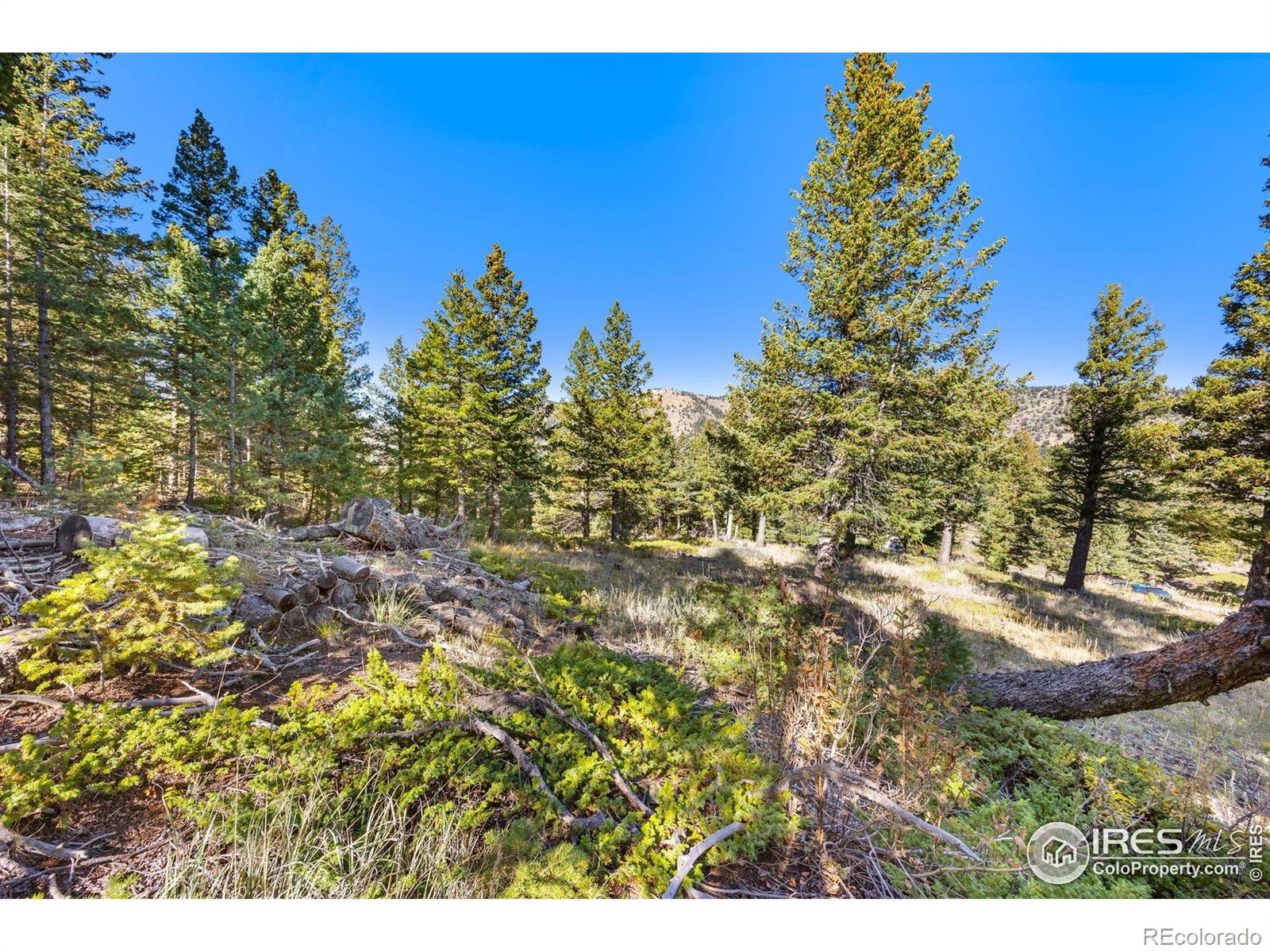 323 Roxbury Drive Boulder CO 80302
