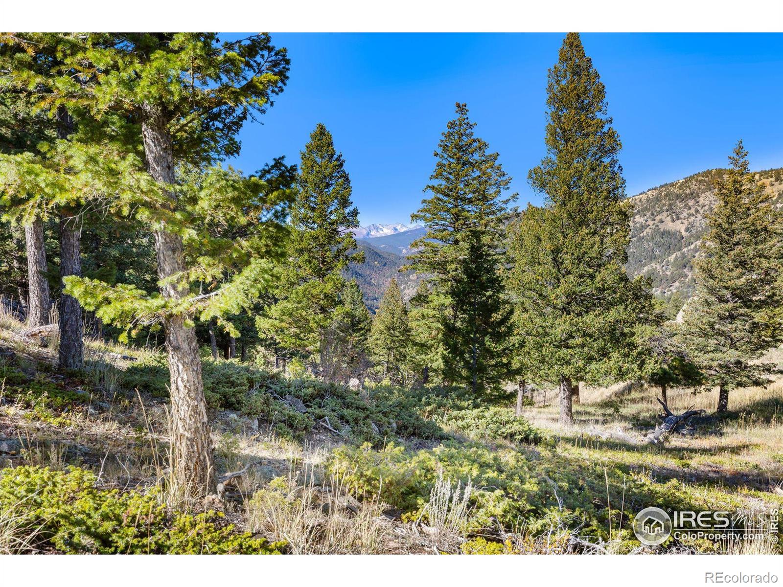 323 Roxbury Drive Boulder CO 80302