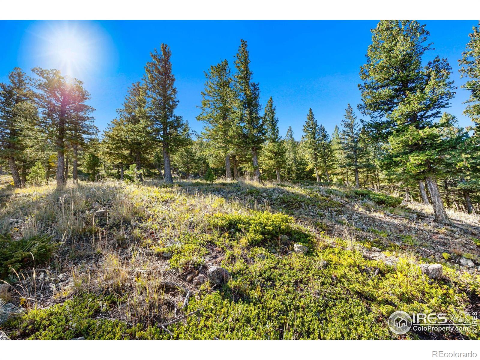 323 Roxbury Drive Boulder CO 80302