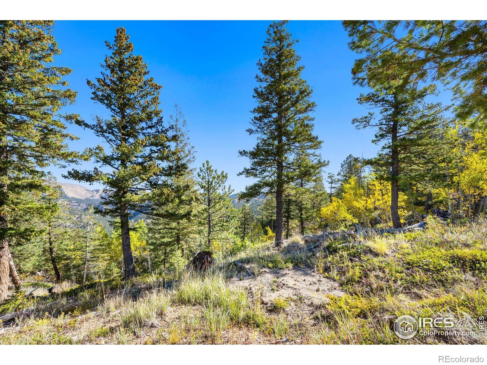 323 Roxbury Drive Boulder CO 80302