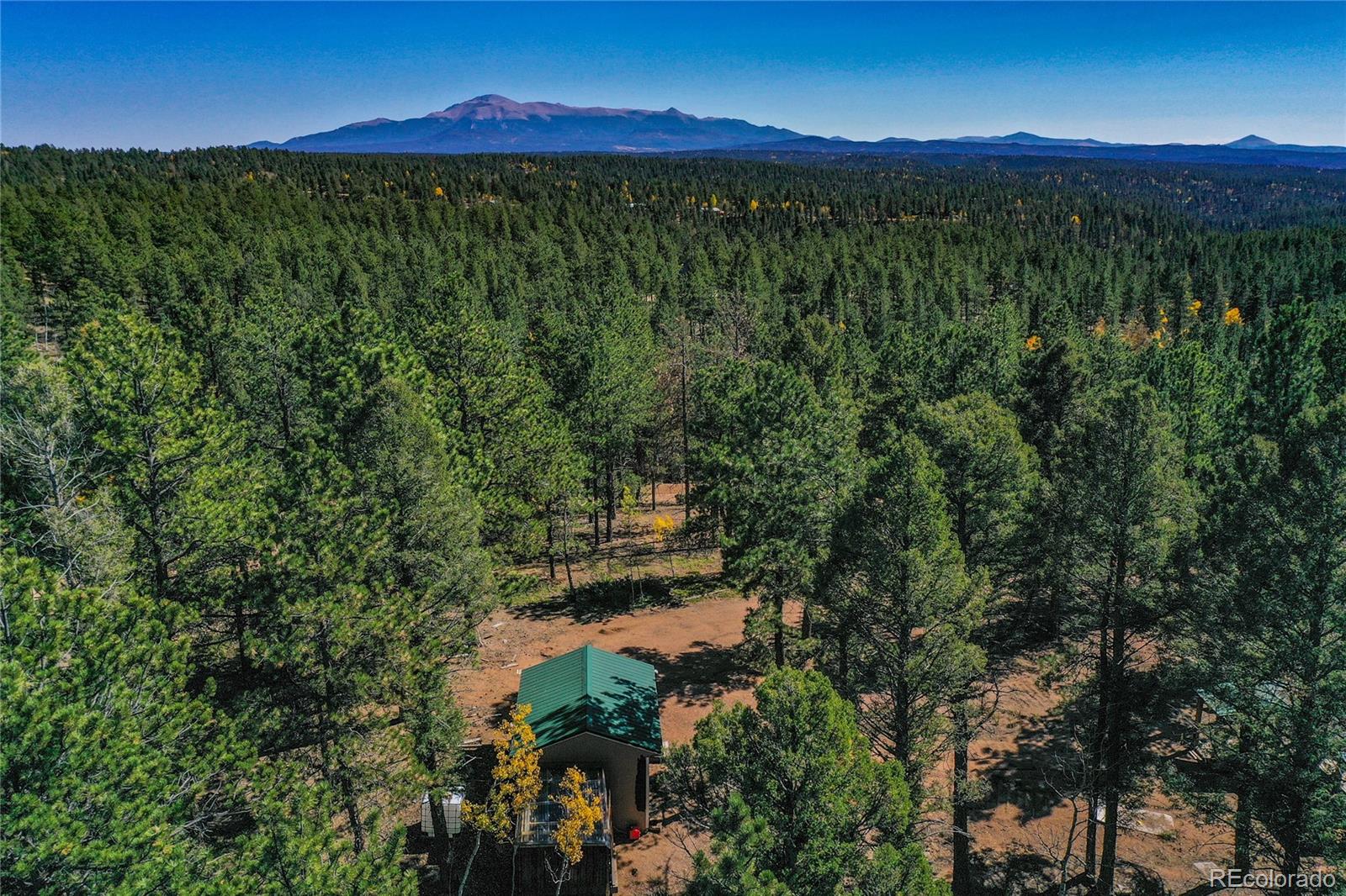 3447 Pathfinder Road Florissant CO 80816