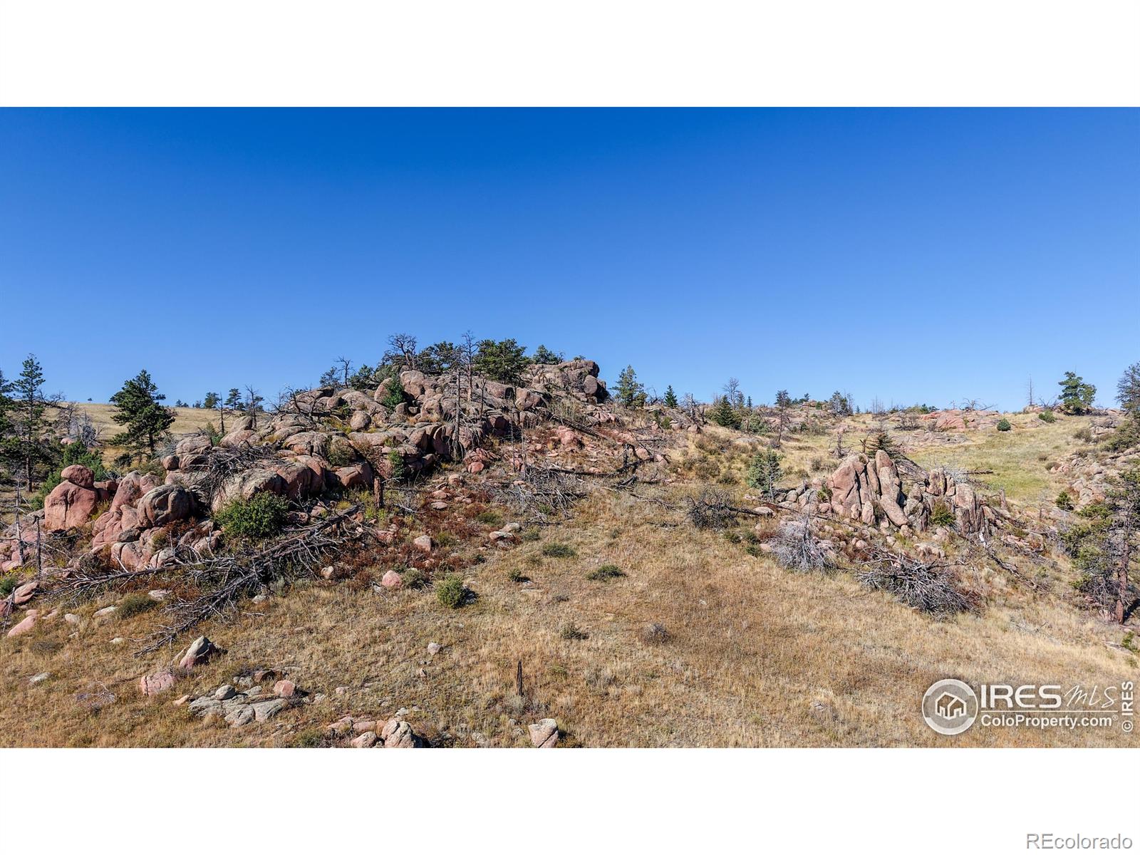 0 W County Road 82e Livermore CO 80536