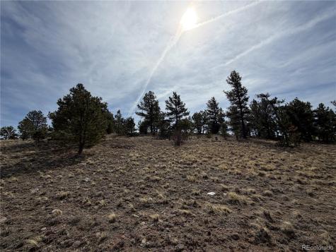 990 Coyotero Trail Hartsel CO 80449