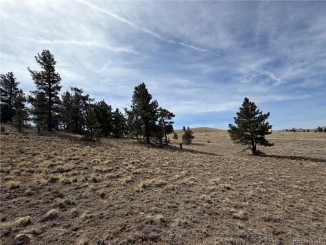 990 Coyotero Trail Hartsel CO 80449