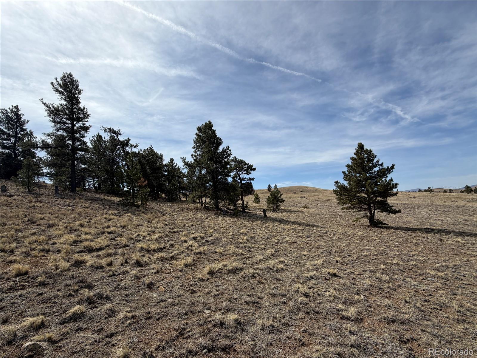 990 Coyotero Trail Hartsel CO 80449