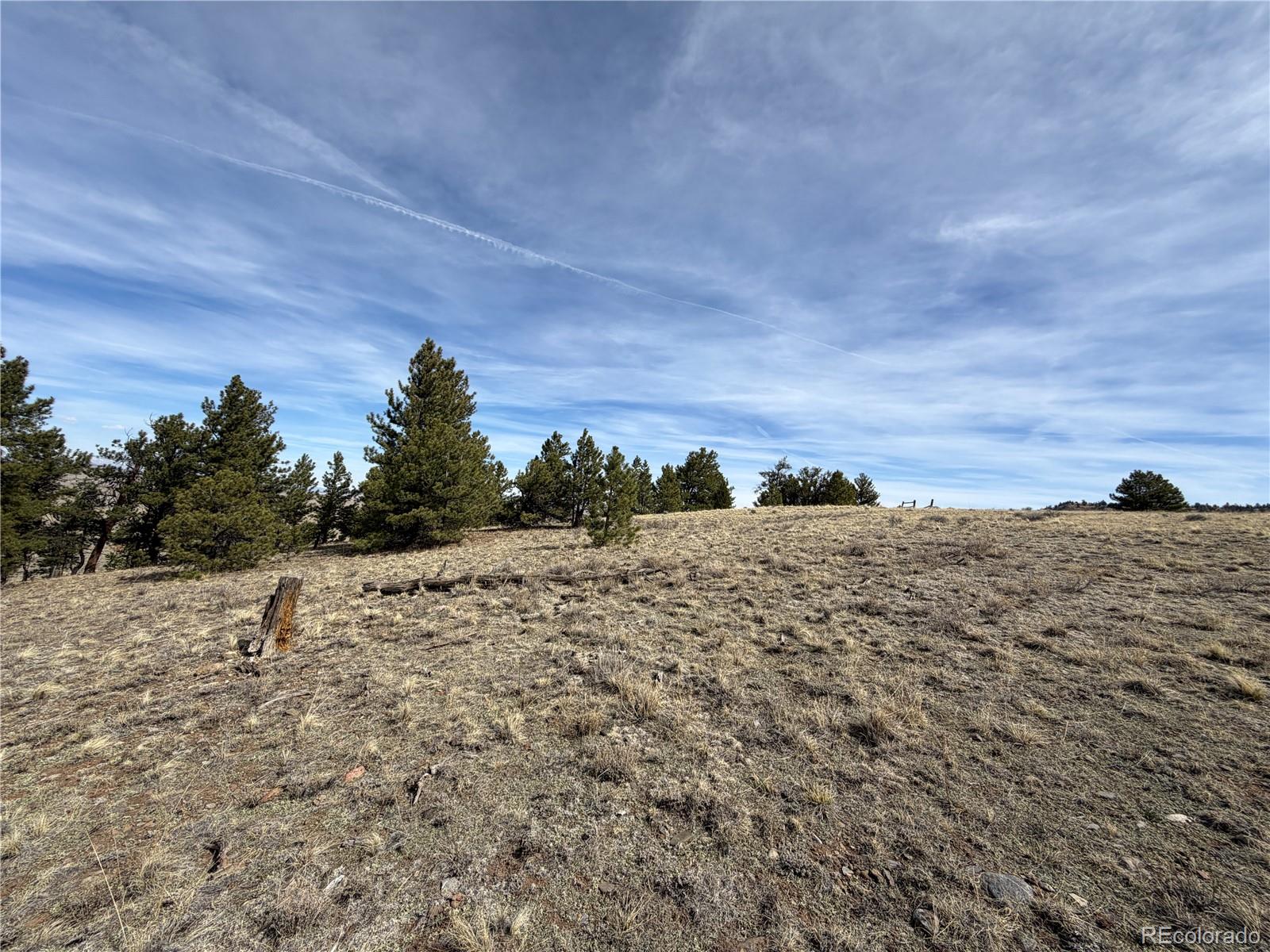 990 Coyotero Trail Hartsel CO 80449
