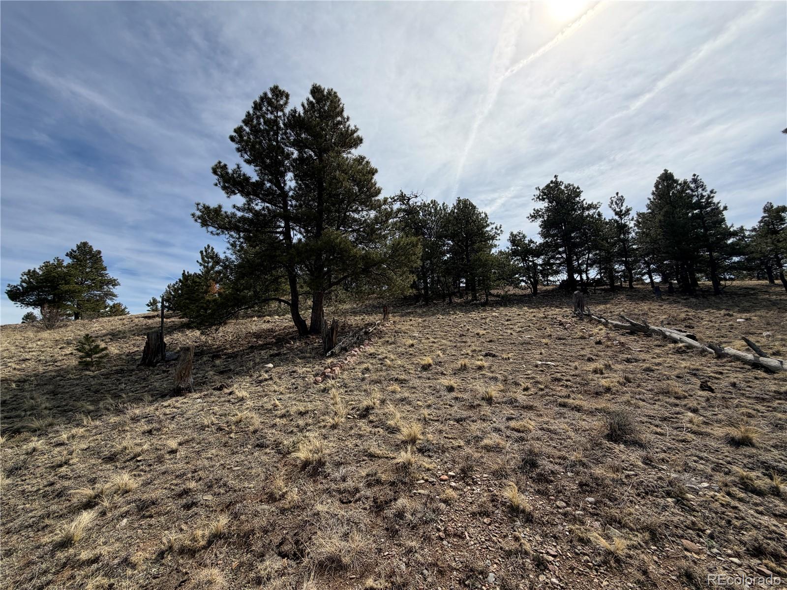 990 Coyotero Trail Hartsel CO 80449