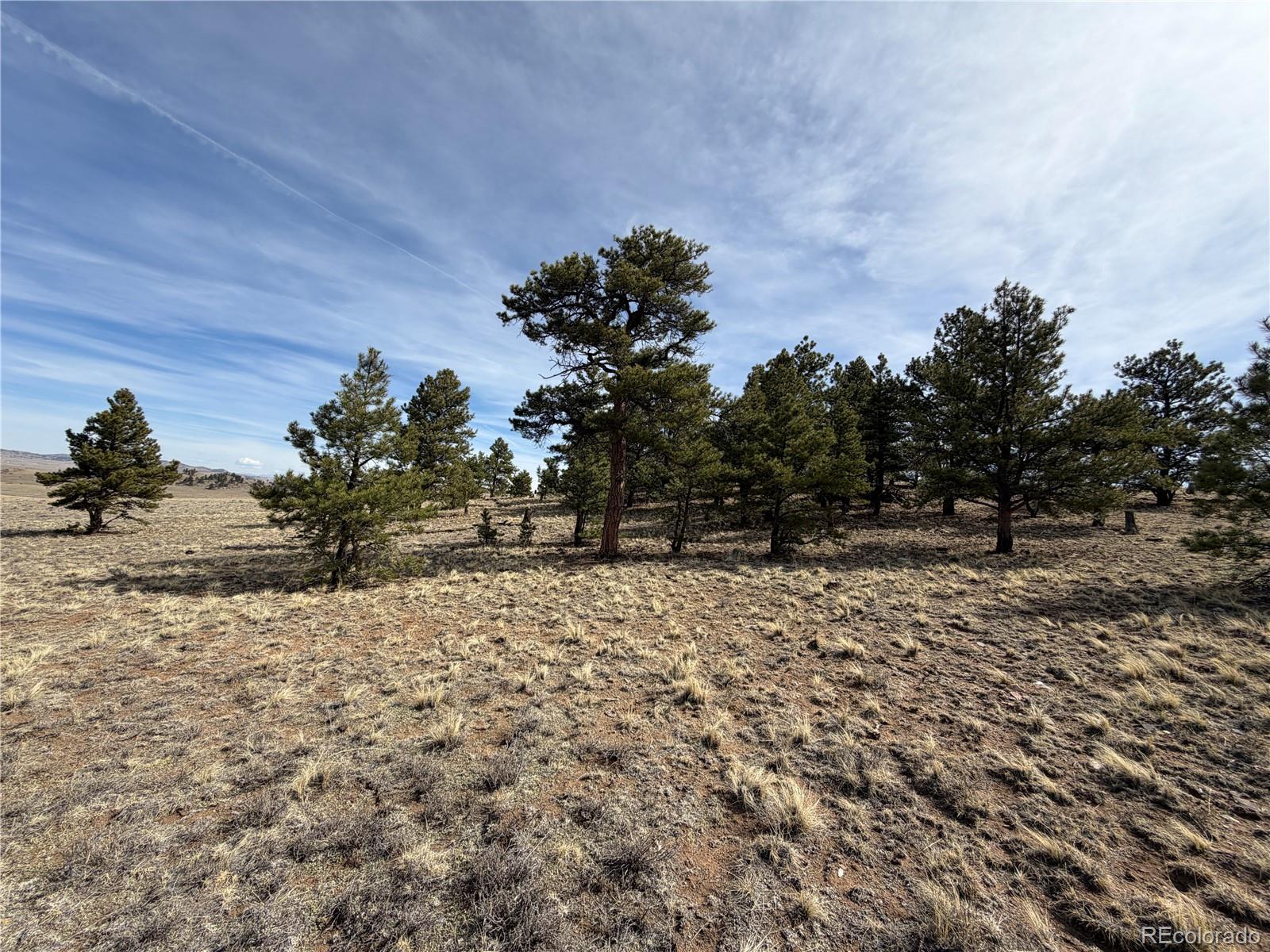 990 Coyotero Trail Hartsel CO 80449