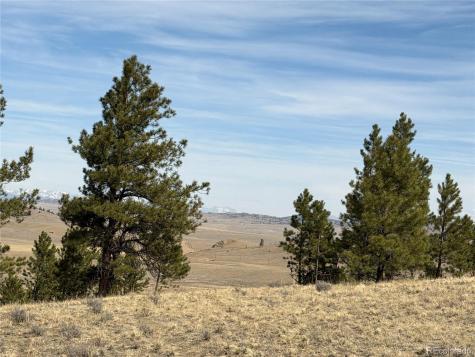 990 Coyotero Trail Hartsel CO 80449