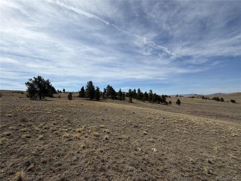 990 Coyotero Trail Hartsel CO 80449