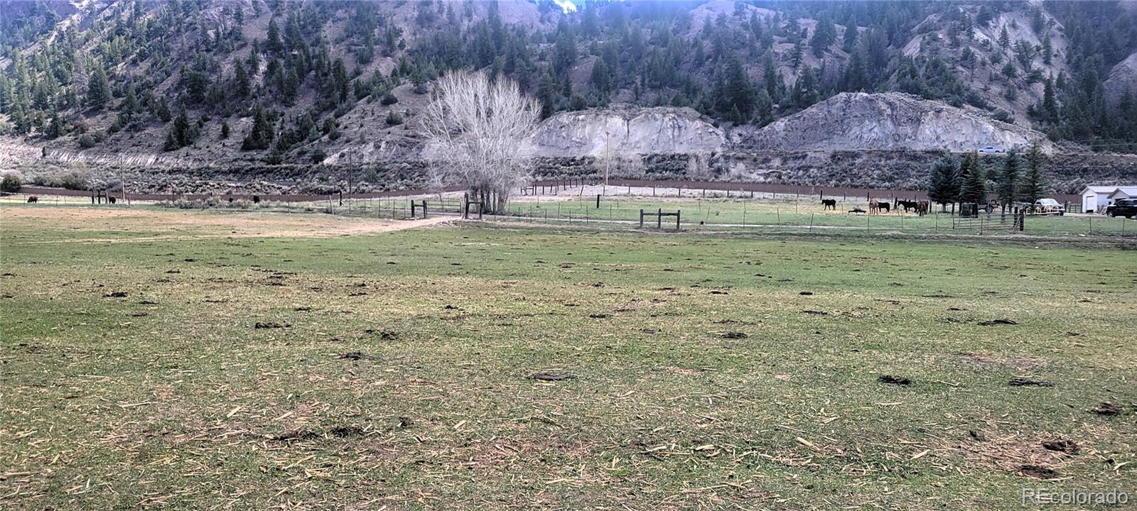 411 Violet Lane Eagle CO 81631
