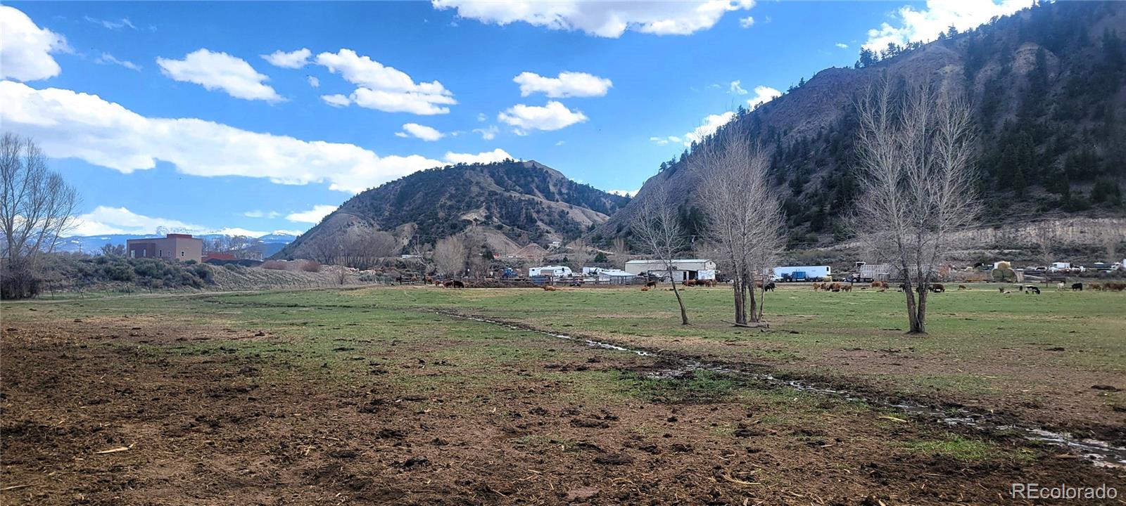 411 Violet Lane Eagle CO 81631