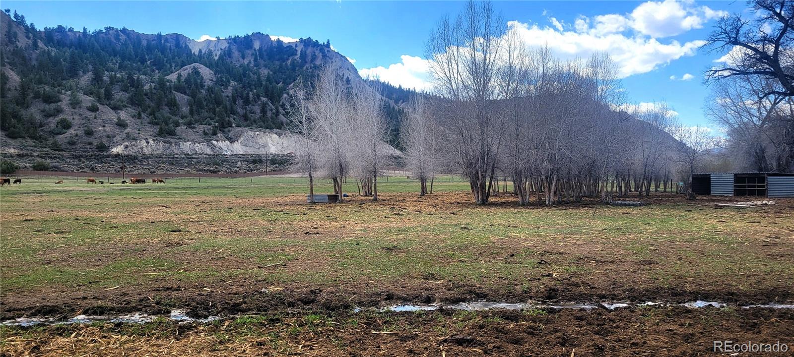 411 Violet Lane Eagle CO 81631