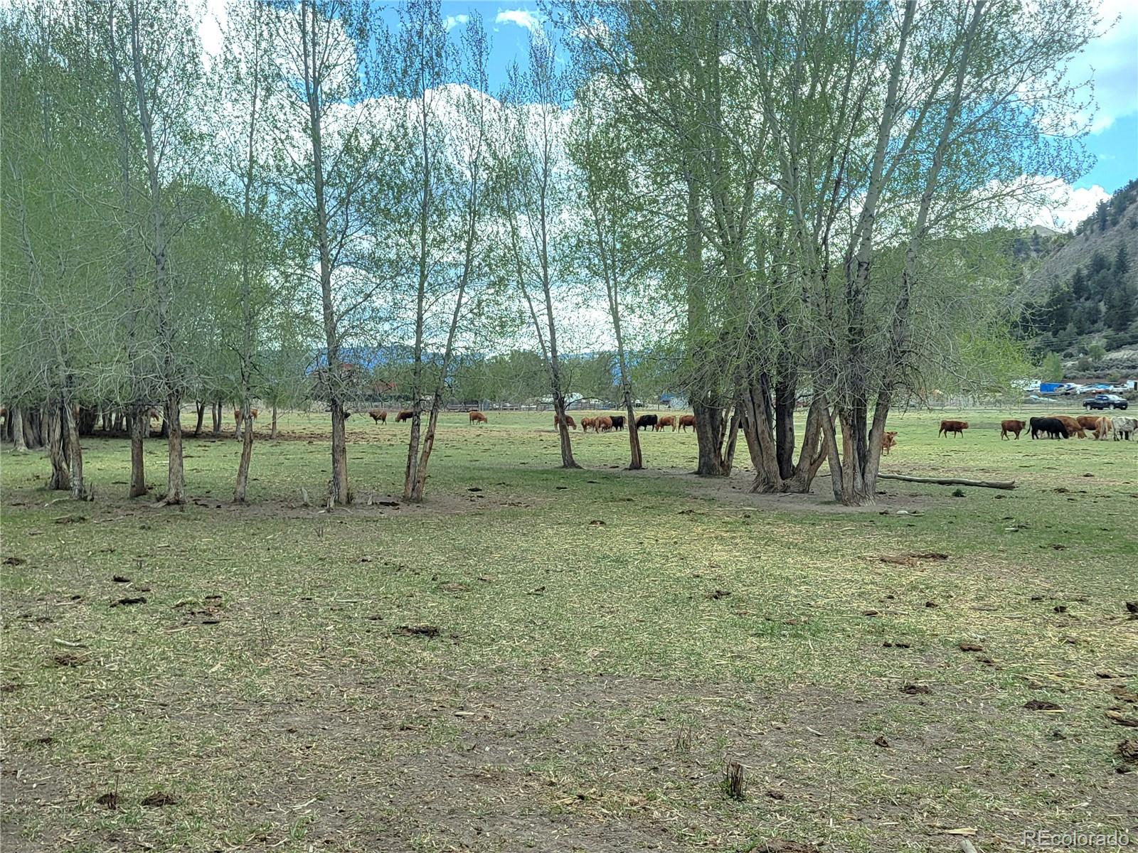 411 Violet Lane Eagle CO 81631