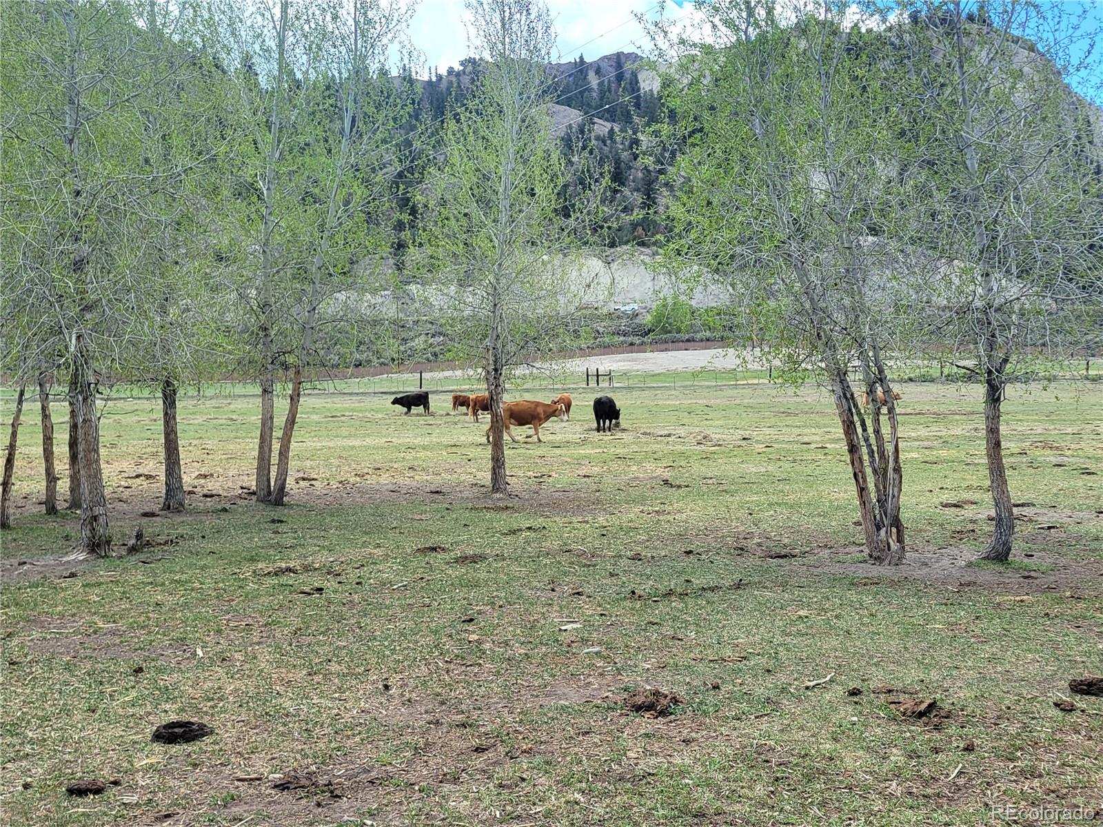 411 Violet Lane Eagle CO 81631