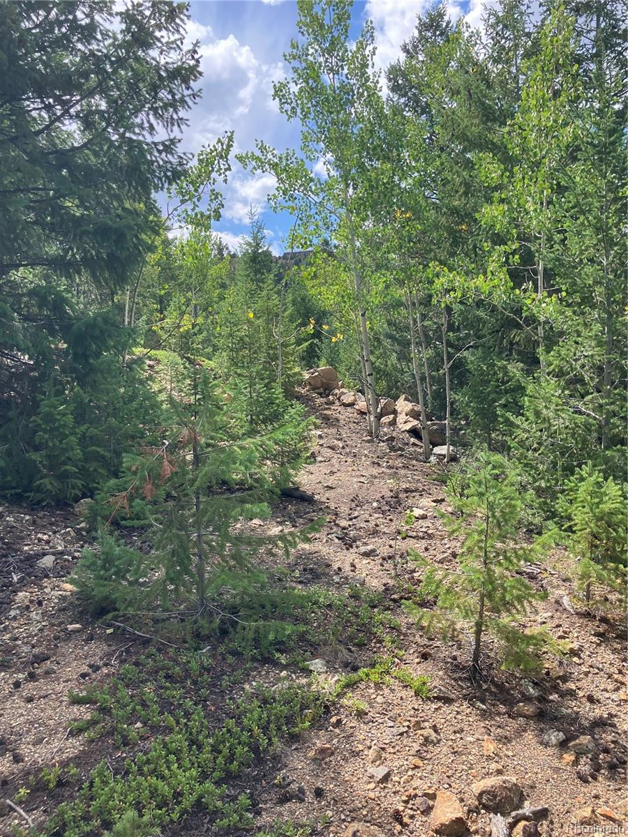 7 Miners Road Black Hawk CO 80422