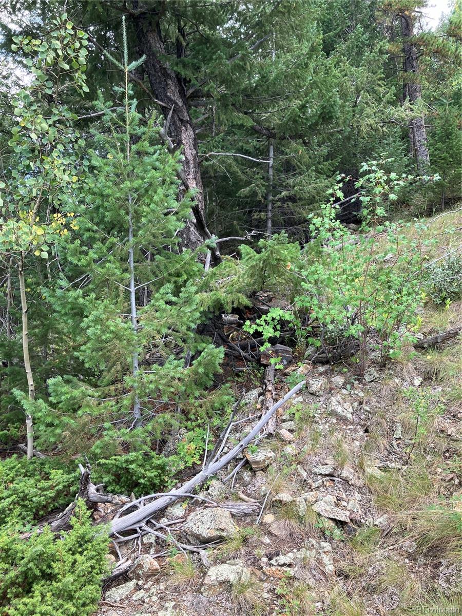 7 Miners Road Black Hawk CO 80422