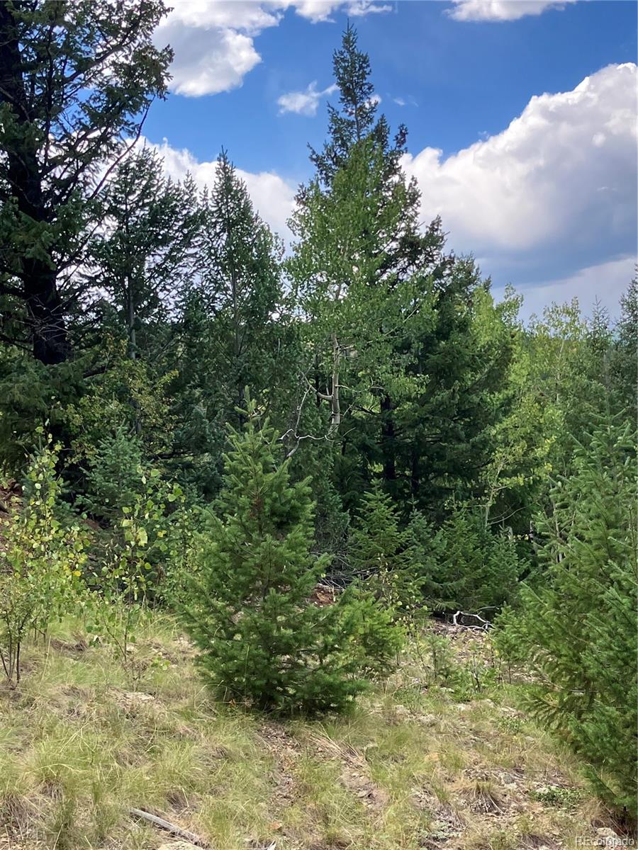 7 Miners Road Black Hawk CO 80422