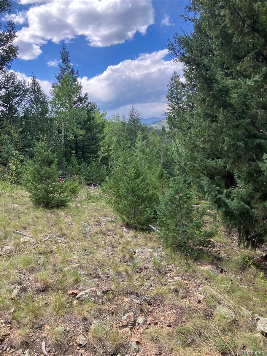 7 Miners Road Black Hawk CO 80422
