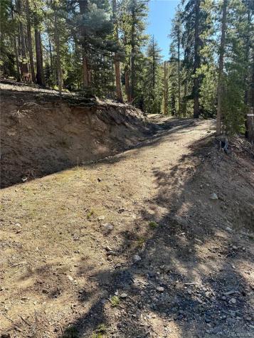 7624 Brook Forest Lane Evergreen CO 80439