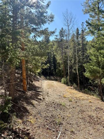7624 Brook Forest Lane Evergreen CO 80439