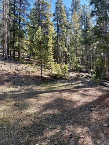 7624 Brook Forest Lane Evergreen CO 80439