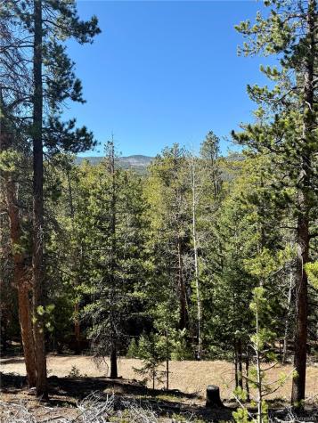 7624 Brook Forest Lane Evergreen CO 80439
