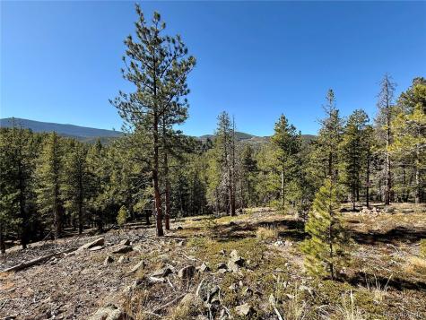 7624 Brook Forest Lane Evergreen CO 80439