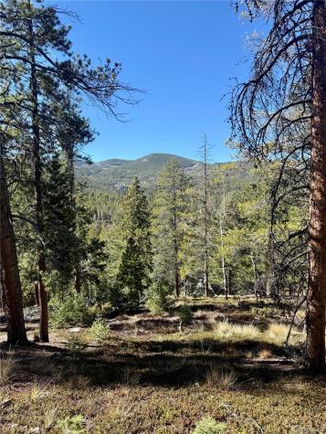 7624 Brook Forest Lane Evergreen CO 80439