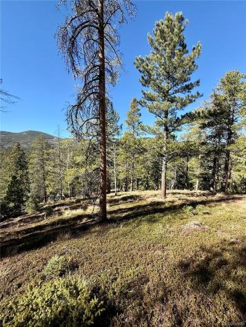 7624 Brook Forest Lane Evergreen CO 80439