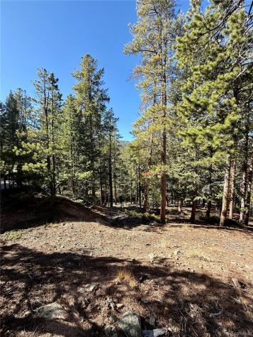 7624 Brook Forest Lane Evergreen CO 80439