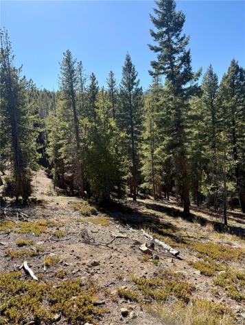 7624 Brook Forest Lane Evergreen CO 80439