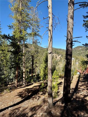 7624 Brook Forest Lane Evergreen CO 80439