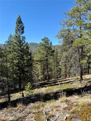 7624 Brook Forest Lane Evergreen CO 80439