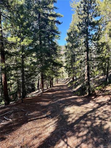 7624 Brook Forest Lane Evergreen CO 80439