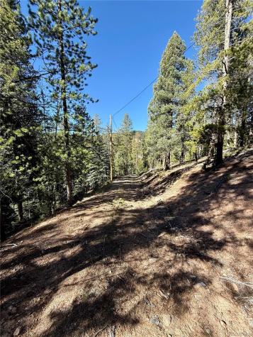 7624 Brook Forest Lane Evergreen CO 80439