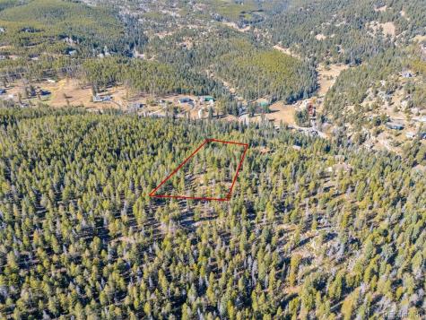 7624 Brook Forest Lane Evergreen CO 80439