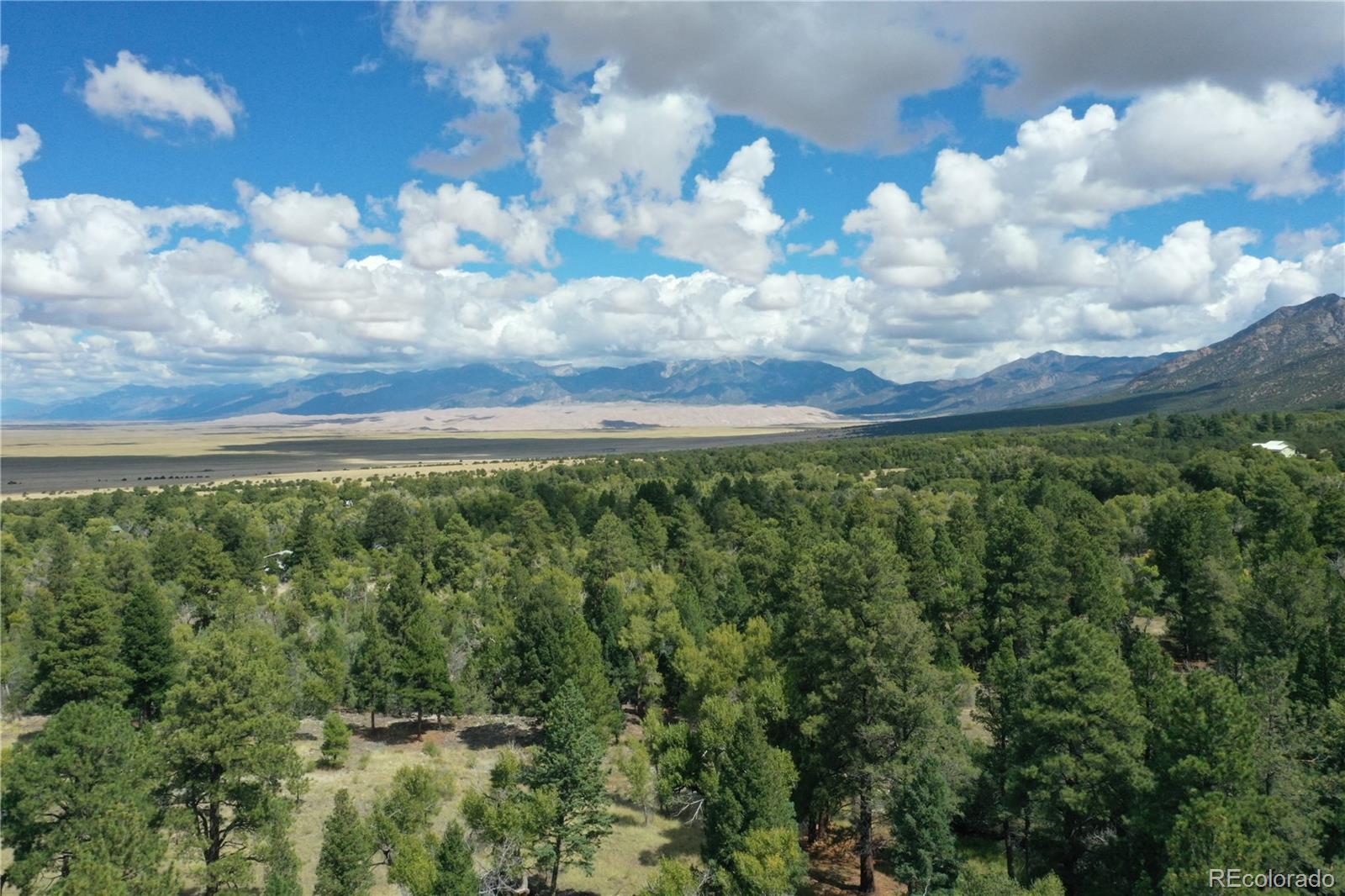 133 Cedar Ridge Road Mosca CO 81146