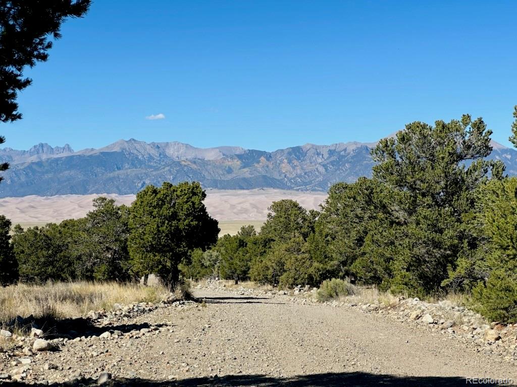 133 Cedar Ridge Road Mosca CO 81146