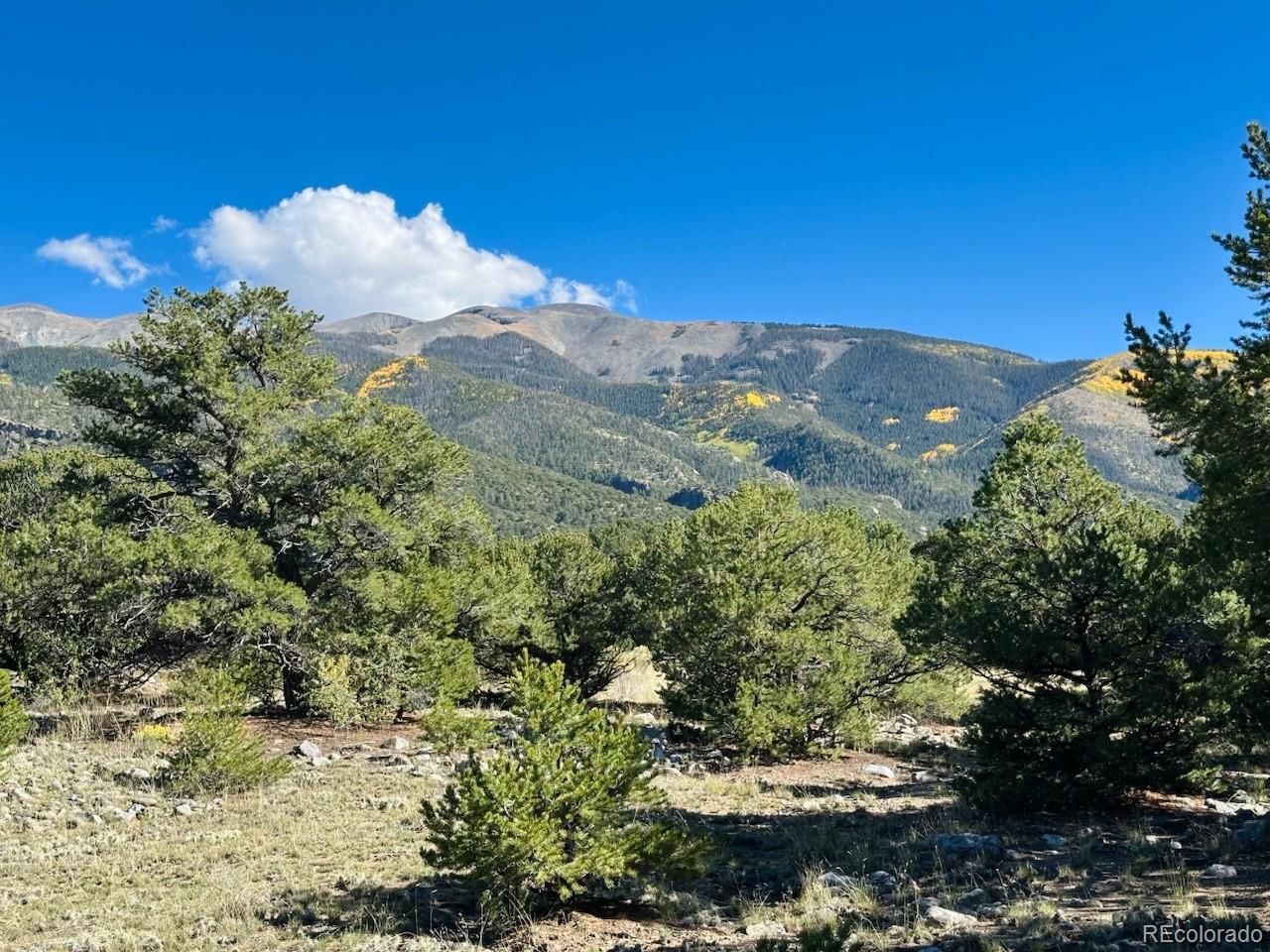 133 Cedar Ridge Road Mosca CO 81146