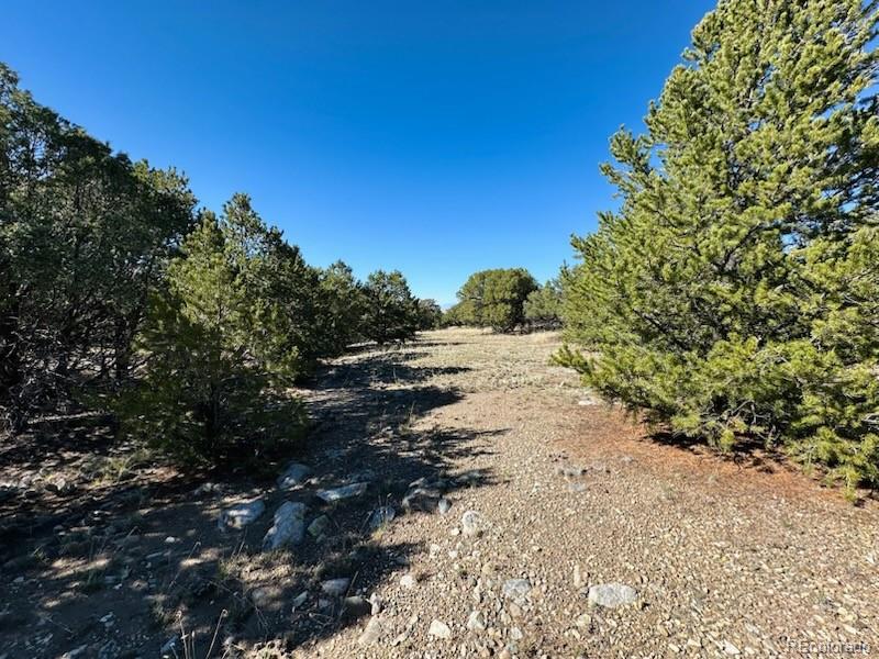 133 Cedar Ridge Road Mosca CO 81146
