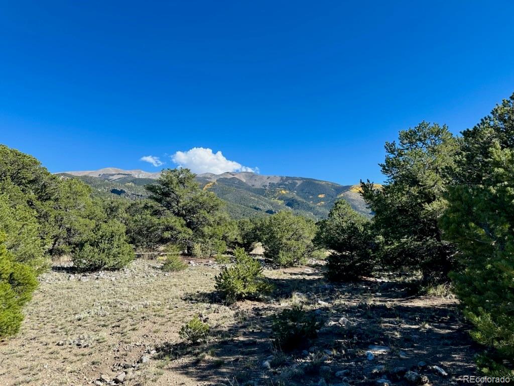 133 Cedar Ridge Road Mosca CO 81146