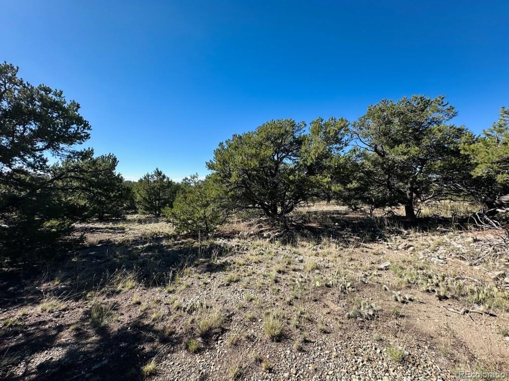 133 Cedar Ridge Road Mosca CO 81146