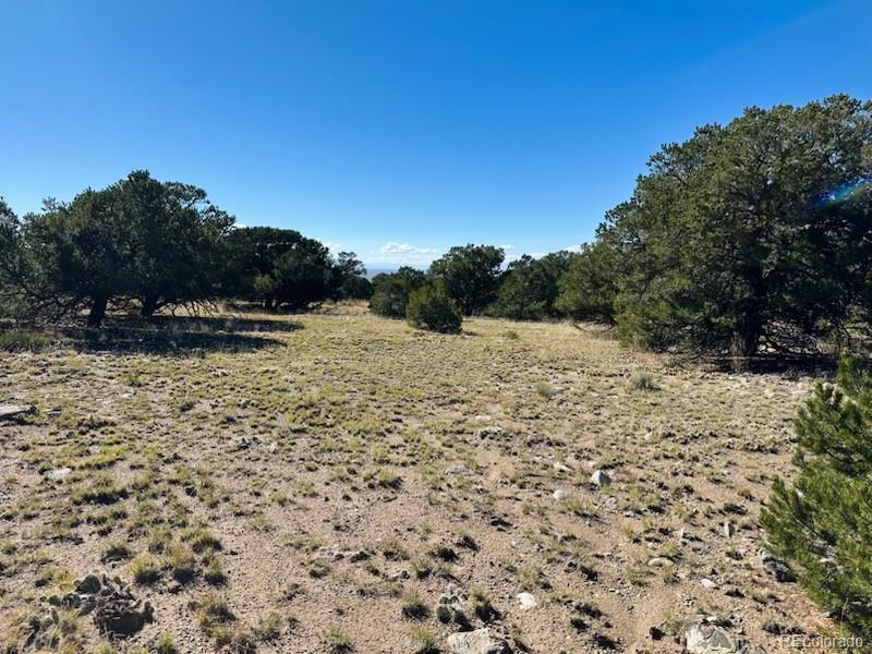 133 Cedar Ridge Road Mosca CO 81146