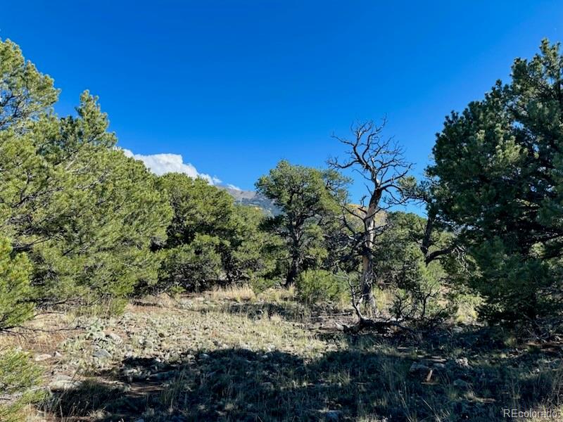 133 Cedar Ridge Road Mosca CO 81146