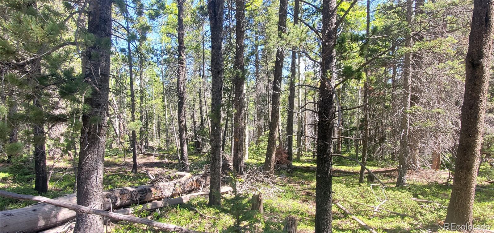 Lot 2914 Forbes Loop Fort Garland CO 81133