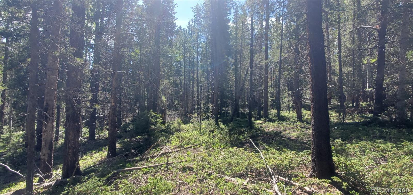 Lot 2914 Forbes Loop Fort Garland CO 81133