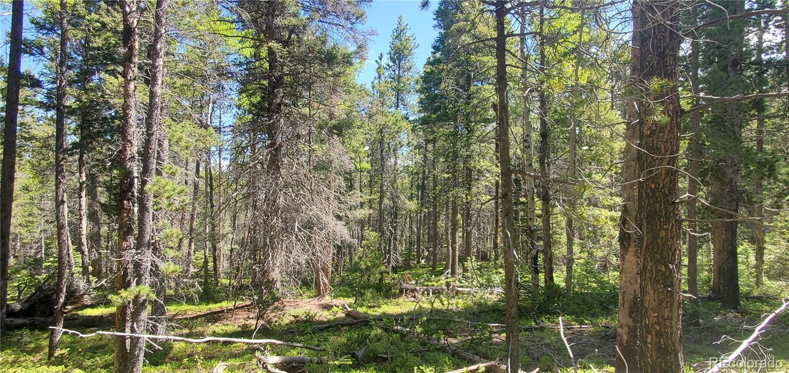 Lot 2914 Forbes Loop Fort Garland CO 81133